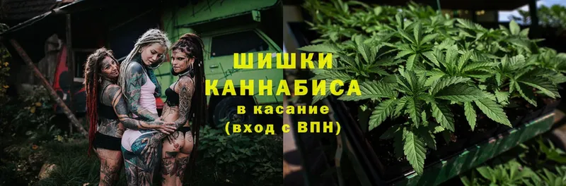 где купить наркотик  Опочка  МАРИХУАНА THC 21% 